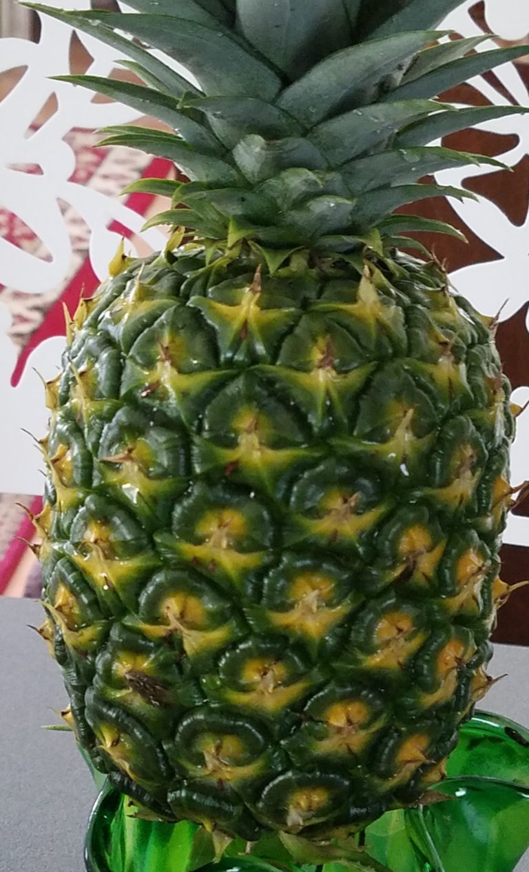 7 Stages Of Pineapple – The LeEMS Machine