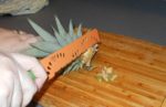 PineappleCarving11