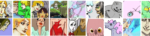 cropped-Picture1-1.png